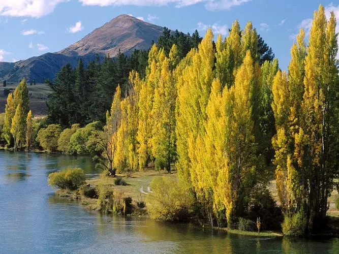 独特高性能高标准